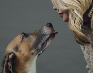 Друг - благотворительный проект бренда YOU и петербургского фонда «Помощь бездомным собакам»